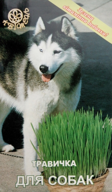 Семена трава для собак