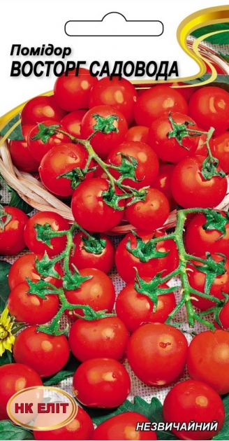 насіння томат Восторг садовода