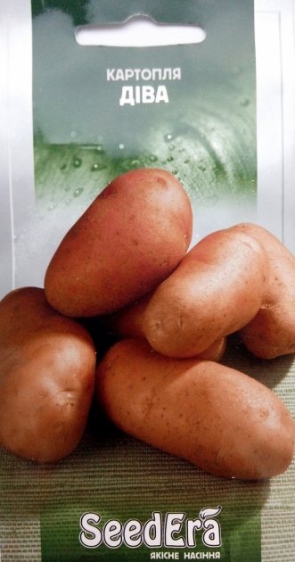 Семена картофеля Дива