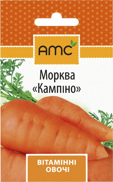 Семена моркови Кампина