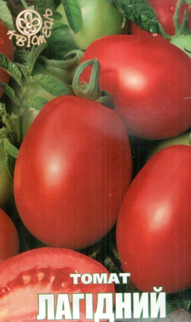 насіння томат ЛАГІДНИЙ