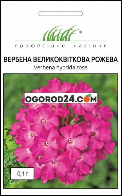 Семена  вербены крупноцветковая розовая