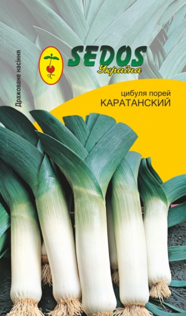 Семена лука-порея Карантанский, 200 шт