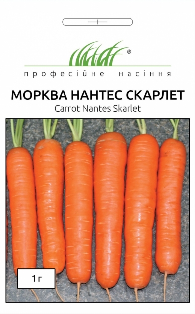 Семена морковь НАНТЕС СКАРЛЕТ