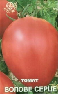 насіння томат ВОЛОВЕ СЕРЦЕ