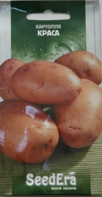 Семена картофеля Краса